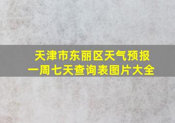 天津市东丽区天气预报一周七天查询表图片大全