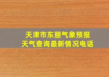 天津市东丽气象预报天气查询最新情况电话