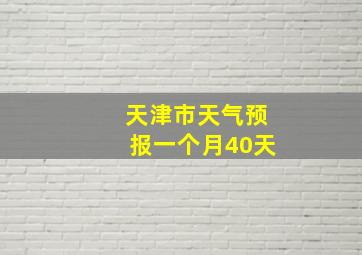 天津市天气预报一个月40天