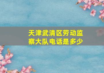 天津武清区劳动监察大队电话是多少