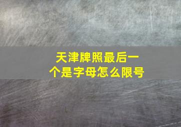 天津牌照最后一个是字母怎么限号