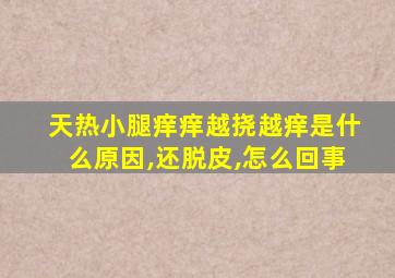 天热小腿痒痒越挠越痒是什么原因,还脱皮,怎么回事