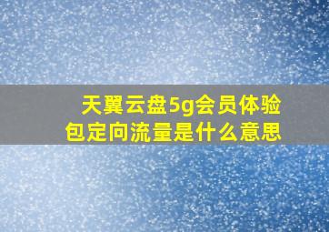 天翼云盘5g会员体验包定向流量是什么意思