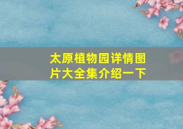 太原植物园详情图片大全集介绍一下