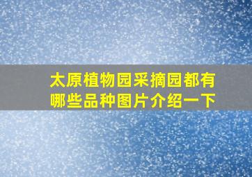 太原植物园采摘园都有哪些品种图片介绍一下