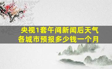 央视1套午间新闻后天气各城市预报多少钱一个月