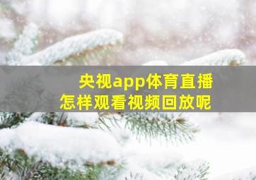 央视app体育直播怎样观看视频回放呢