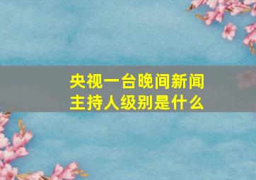 央视一台晚间新闻主持人级别是什么