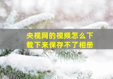 央视网的视频怎么下载下来保存不了相册