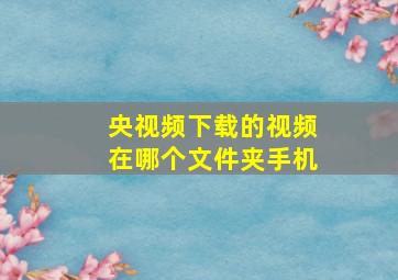 央视频下载的视频在哪个文件夹手机