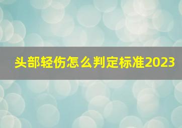 头部轻伤怎么判定标准2023