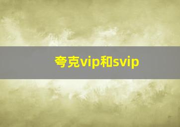 夸克vip和svip