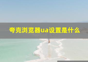 夸克浏览器ua设置是什么