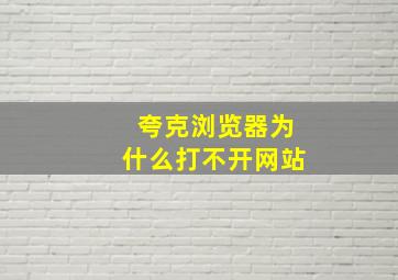 夸克浏览器为什么打不开网站