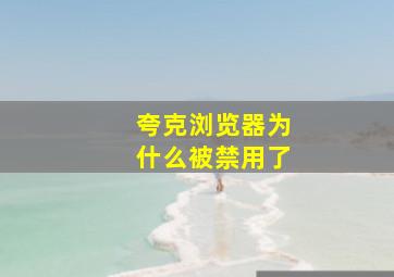 夸克浏览器为什么被禁用了