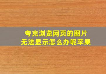 夸克浏览网页的图片无法显示怎么办呢苹果