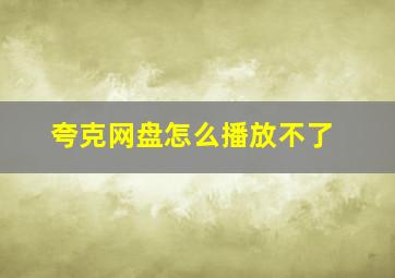 夸克网盘怎么播放不了