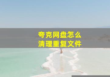 夸克网盘怎么清理重复文件