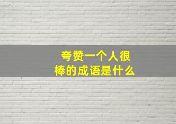 夸赞一个人很棒的成语是什么