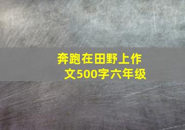 奔跑在田野上作文500字六年级