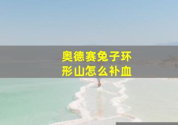 奥德赛兔子环形山怎么补血