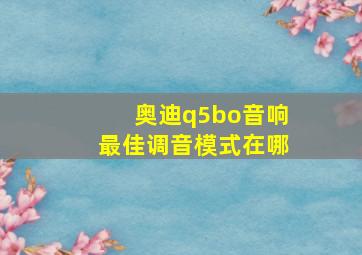 奥迪q5bo音响最佳调音模式在哪