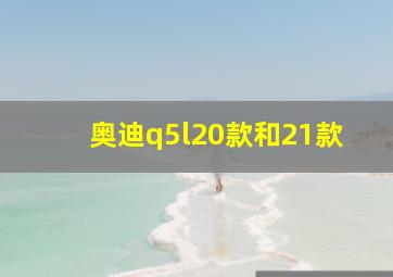 奥迪q5l20款和21款