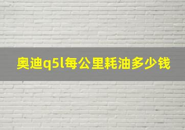 奥迪q5l每公里耗油多少钱