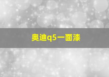 奥迪q5一面漆