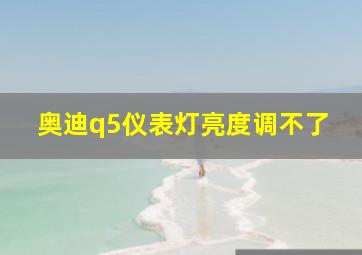 奥迪q5仪表灯亮度调不了