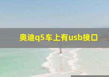 奥迪q5车上有usb接口