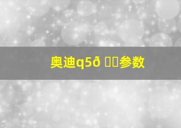 奥迪q5𠃊参数