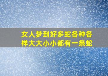 女人梦到好多蛇各种各样大大小小都有一条蛇