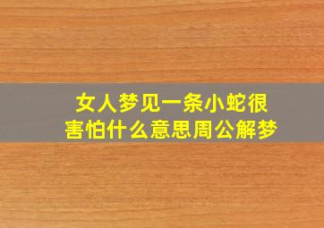 女人梦见一条小蛇很害怕什么意思周公解梦