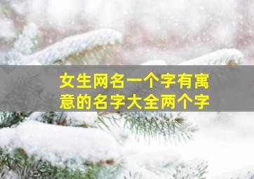 女生网名一个字有寓意的名字大全两个字