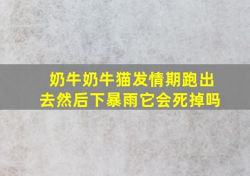 奶牛奶牛猫发情期跑出去然后下暴雨它会死掉吗