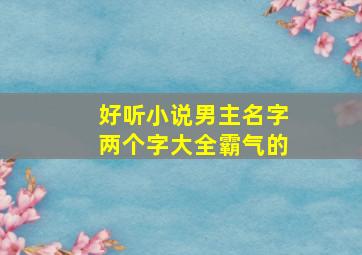 好听小说男主名字两个字大全霸气的