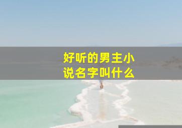 好听的男主小说名字叫什么