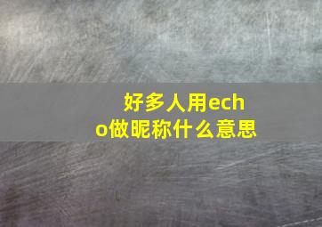 好多人用echo做昵称什么意思