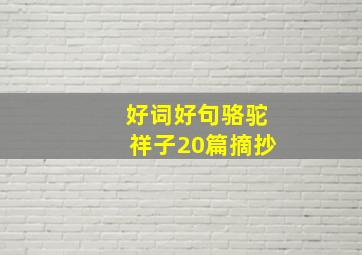 好词好句骆驼祥子20篇摘抄