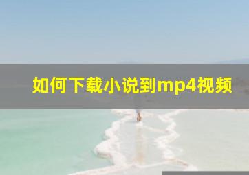 如何下载小说到mp4视频