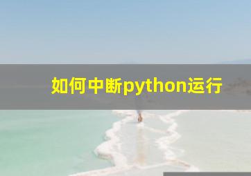 如何中断python运行