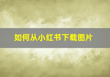 如何从小红书下载图片