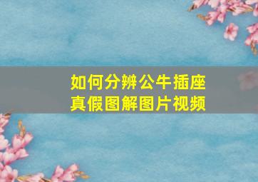 如何分辨公牛插座真假图解图片视频