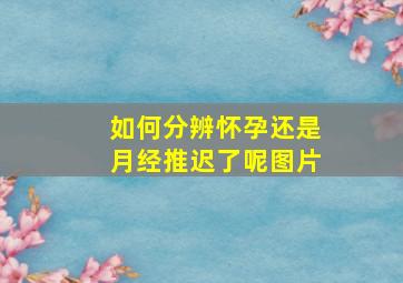 如何分辨怀孕还是月经推迟了呢图片