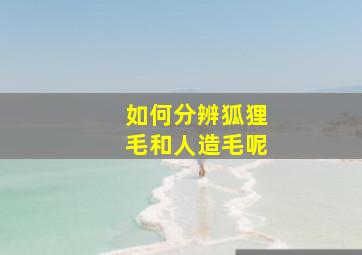 如何分辨狐狸毛和人造毛呢