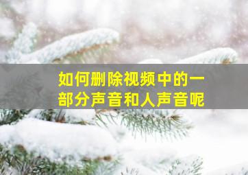 如何删除视频中的一部分声音和人声音呢