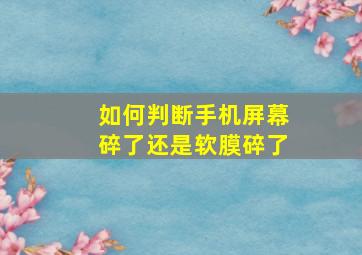 如何判断手机屏幕碎了还是软膜碎了