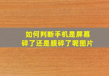 如何判断手机是屏幕碎了还是膜碎了呢图片