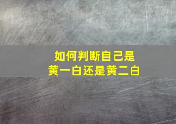 如何判断自己是黄一白还是黄二白